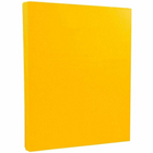 Goldenrod