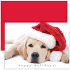 Santa Puppy